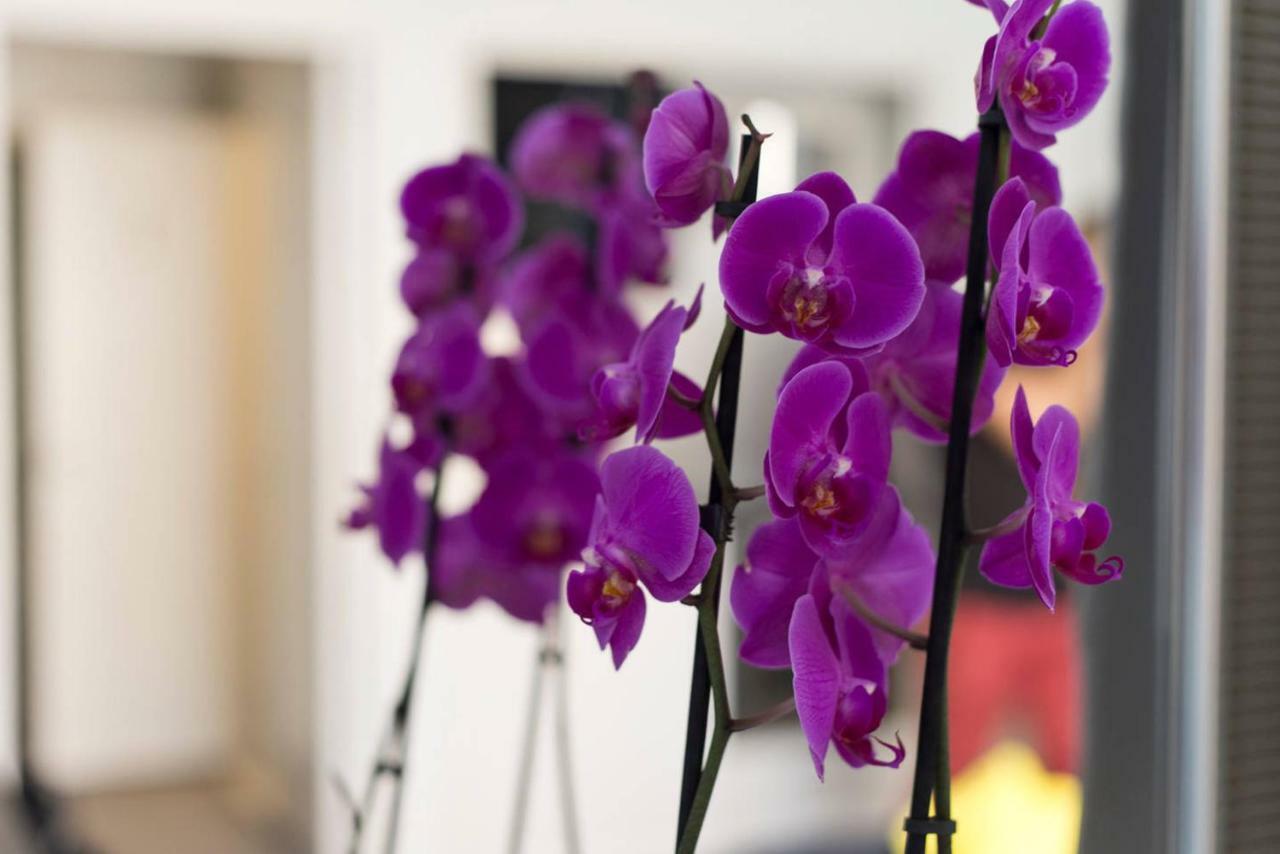 Studio Orchidea Helsinki Zewnętrze zdjęcie